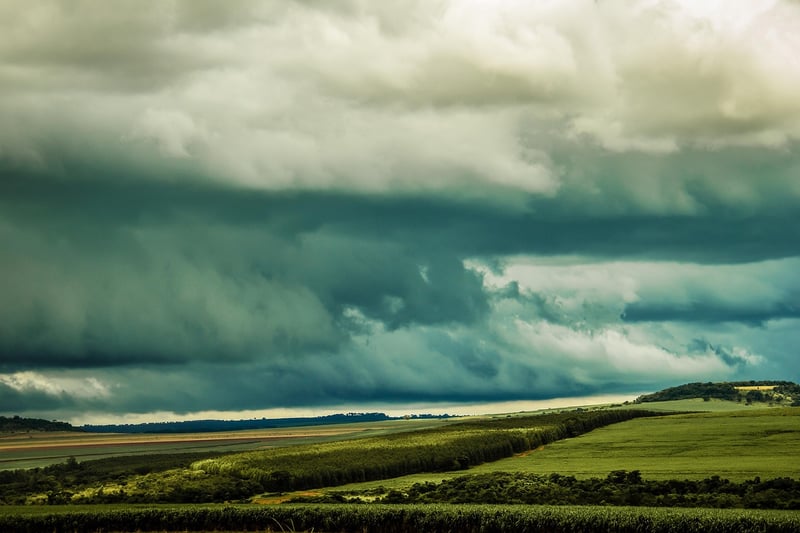Temporal Travels